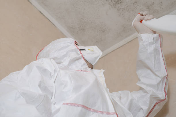 Home Mold Removal in Bayside Gardens, OR